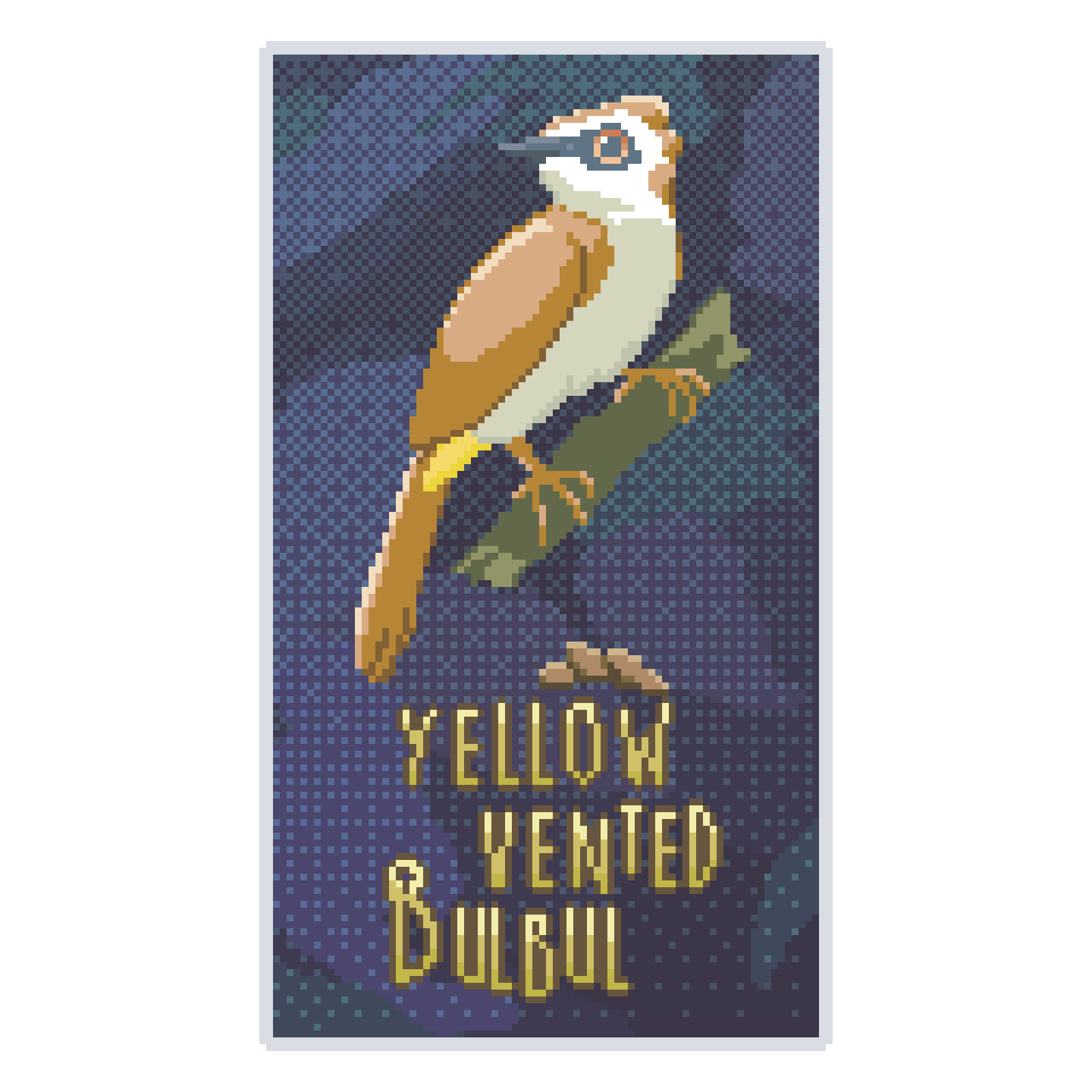 Yellow Vented Bulbul
