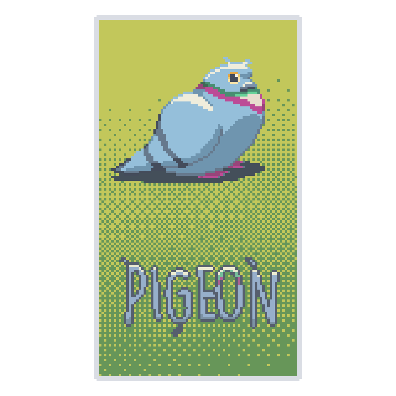 Pigeon
